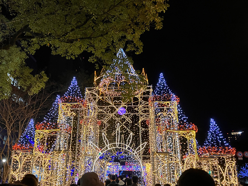 広島に冬の訪れを告げるドリミネーション - 広島グランド
